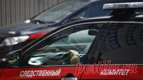 СК возбудил уголовное дело против матери утонувшего в Колпине ребёнка-инвалида. Следственный комитет по Санкт-Петербургу возбудил уголовное дело в отношении матери утонувшего в Солдатском озере в Колпине ребёнка с инвалидностью из-за ДЦП. Читать далее