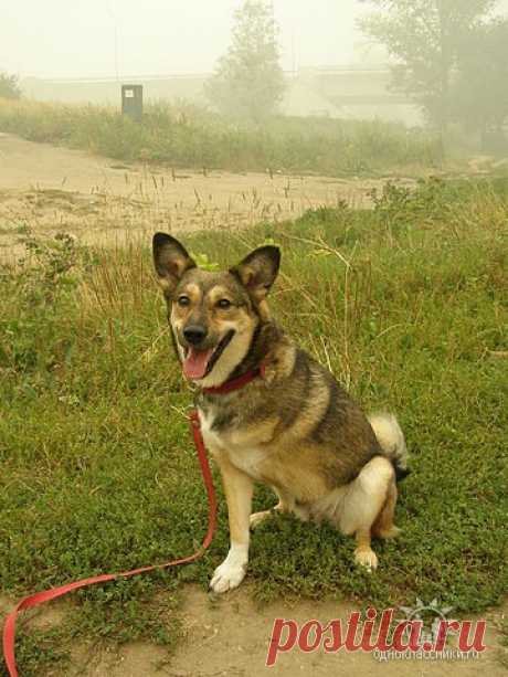 Мои рамочки для текста | Записи в рубрике Мои рамочки для текста | Информационно-познавательный,иллюстрированный блог!