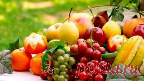 Эти продукты продлевают жизнь – свежие статьи и интересная информация - Fiteria Продолжительность жизни напрямую зависит от питания в течение всей жизни. Перед вами список продуктов, которые лидируют по количеству антиоксидантов и витаминов для продления жизни.