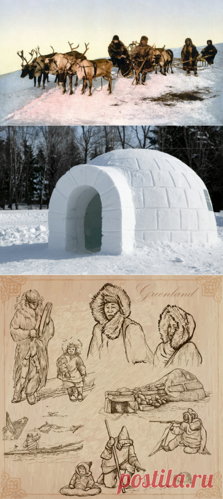 Чем удивительны эскимосы? | Проза жизни
