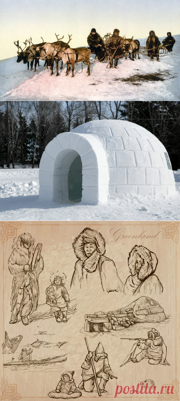 Чем удивительны эскимосы? | Проза жизни