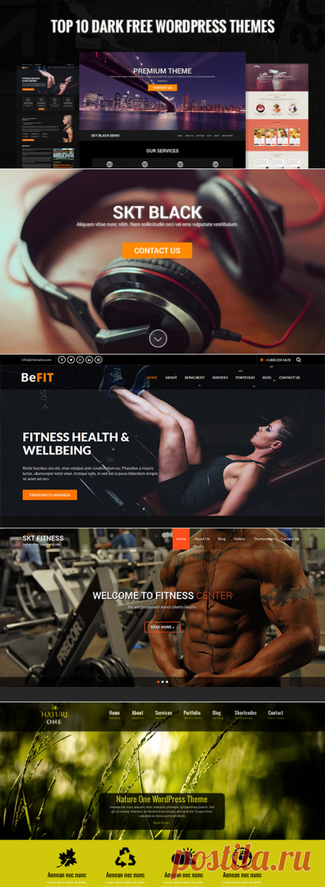 Топ 10 темные свободные темы WordPress - SKT