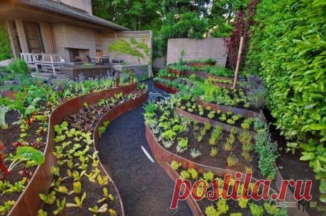 Экоземледелие
Первый шаг к органическому земледелию (которое сегодня очень популярно) - полный отказ от применения химии на своем огороде.
1) Сееем СИДЕРАТЫ. Сидерация - один из основных способов повысить плодородие почвы. Сидераты выращивают для получения органической массы, которая в дальнейшем служит источником питания для почвенных микроорганизмов. Именно они делают почву плодородной и питают растения.Другие полезные свойства сидератов:
-выполняют роль мульчи
-повышают активность полезной