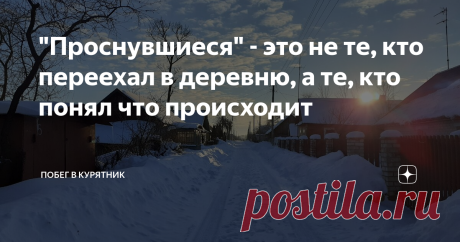 "Проснувшиеся" - это не те, кто переехал в деревню, а те, кто понял что происходит