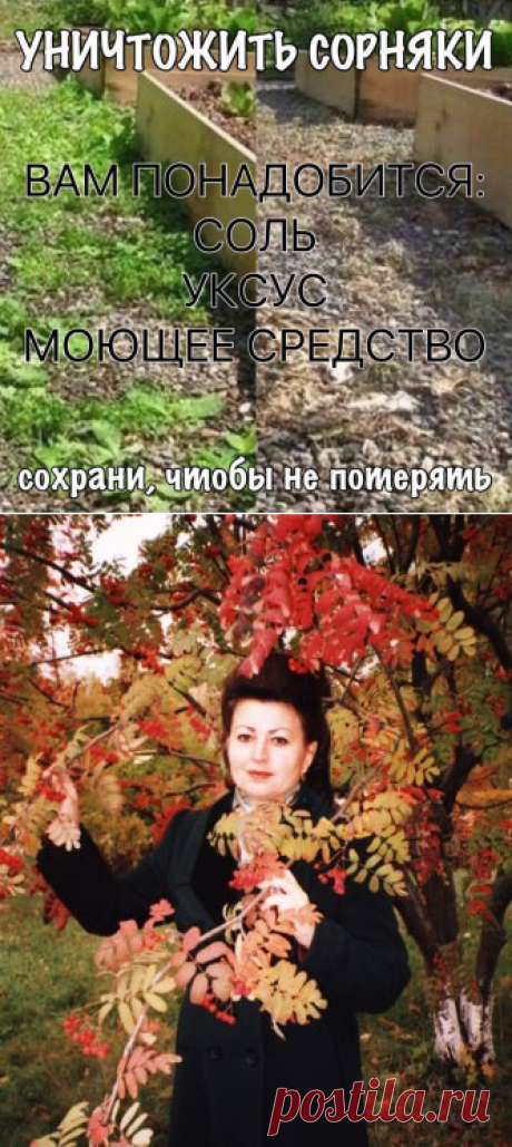 (27) Одноклассники