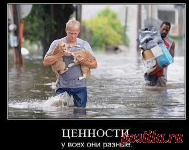 Ценности.У всех они разные.