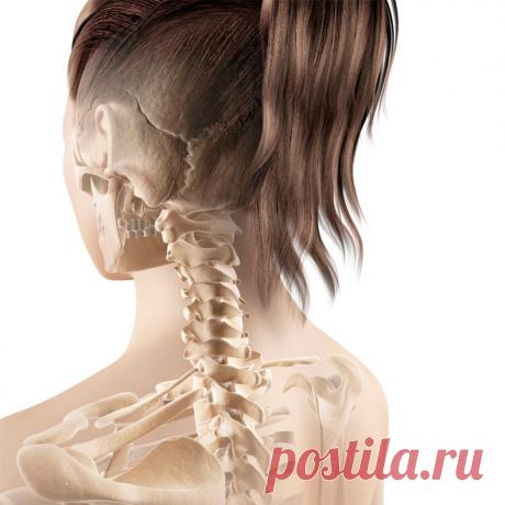 Хруст в шее: 9 супер упражнений для шейных позвонков Если двигая головой вы чувствуете хруст, а делая повороты или наклоняясь, ощущаете боли, то вернуть здоровье шее поможет специальная гимнастика, которую нужно регулярно выполнять. Эти простые упражнения станут отличной профилактикой остеохондроза и рекомендуются всем, кто ведет малоподвижный образ жизни.