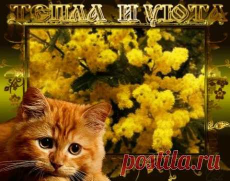 ЛИШНИЙ ГРУЗ. ТРИ ПРИТЧИ О ЖИЗНИ.