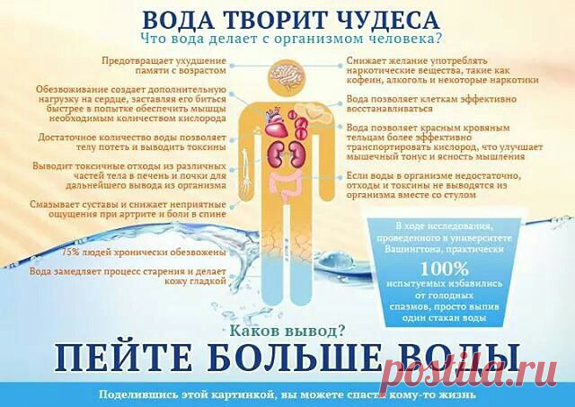ЛАНОЧКА СВЕТЛАЯ
46 лет, Россия, Холмск