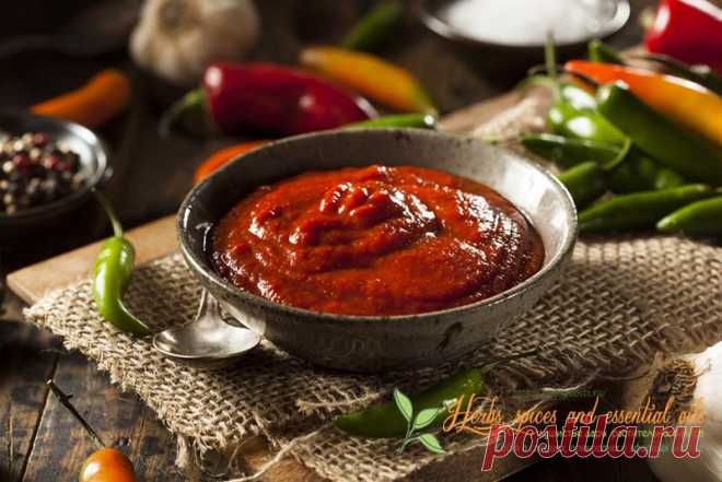 Домашний кетчуп - пять лучших и проверенных рецептов