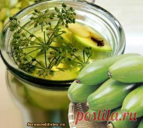 Кабачковый чай для похудения :: Социальная сеть мам и пап