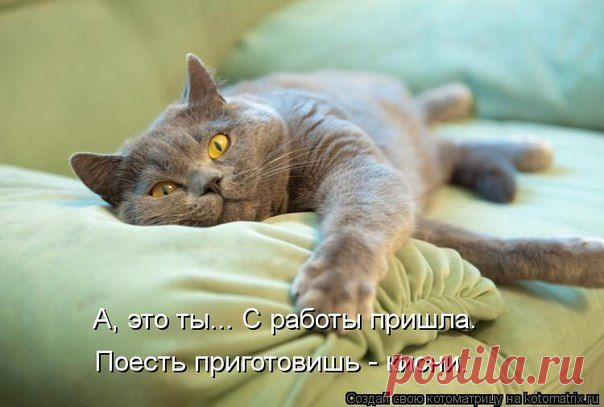 Без кота и жизнь не та ツ