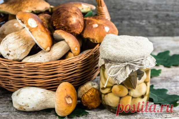 Маринованные подосиновики без стерилизации — Домашняя кулинария