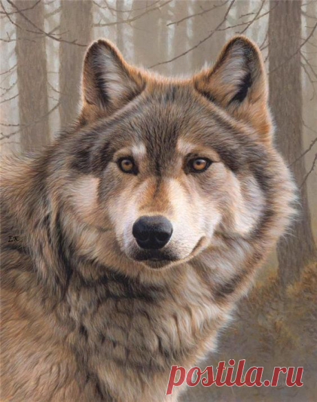 (182) Pinterest