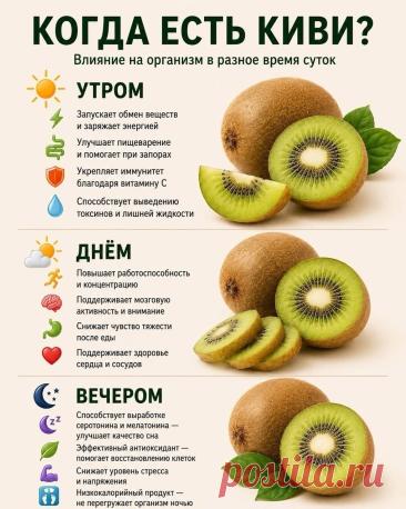 Когда есть киви (влияние на организм в разное время суток)