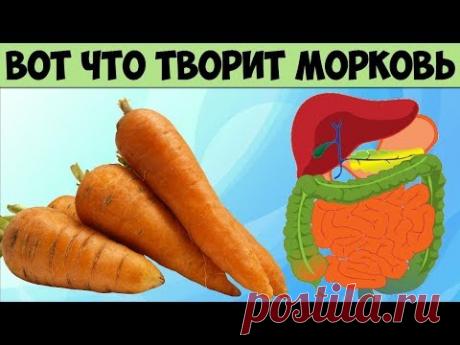 Вот что МОРКОВЬ творит с организмом, если есть его каждый день Невероятная польза для Здоровья - YouTube