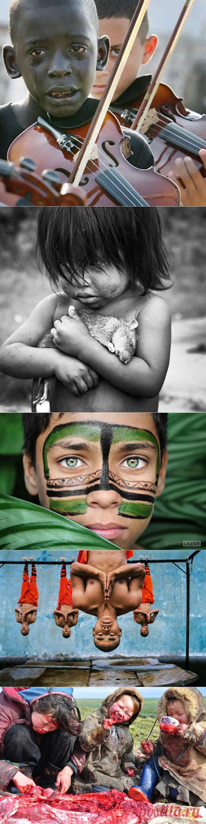 Самые мощные и многообразные портреты людей со всего мира - Фотопанорама