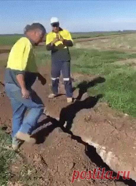 А мог бы пройти мимо.. А мог бы пройти мимо.. Молодчина!!!