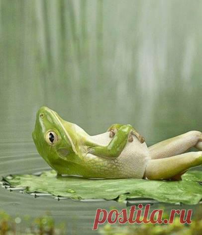 Любой секрет портится внутри тебя; если таить что-то и не рассказывать, начинает болеть живот!