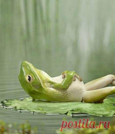 Любой секрет портится внутри тебя; если таить что-то и не рассказывать, начинает болеть живот!