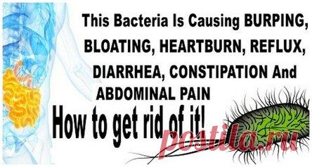 Как избавиться от бактерии, которая вызывает у Вас вздутие живота, изжогу, рефлюкс, диарею и другие симптомы Будьте здоровы! Если Вы испытываете постоянную боль в желудке, то эта информация для вас. Постоянная боль в животе часто вызвана бактериями под названием Пилори. Боль в желудке не редкость для большинства. Тем не менее, постоянная боль в желудке не является нормальным состоянием. Обязательно проконсультируйтесь с вашим врачом по поводу этой проблемы. Перед тем, как ...