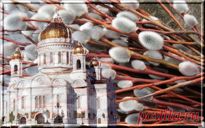 С Вербным воскресением !!! Дорогим друзьям !!!