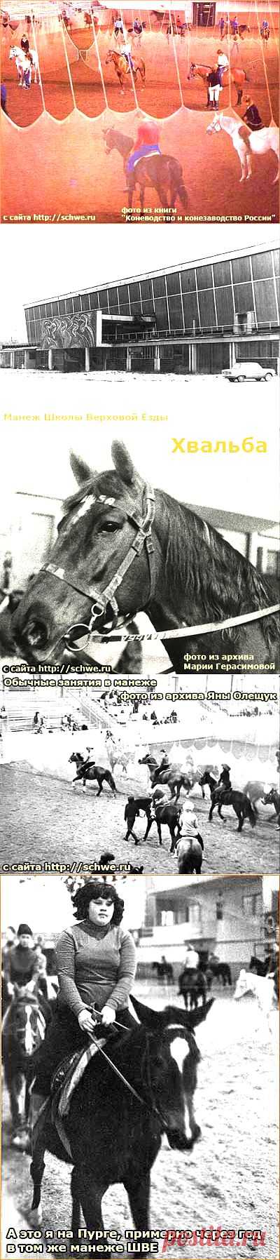Как я первый раз села на лошадь