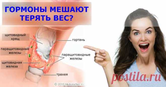 Я — эксперт по гормонам. И вот что я говорю тем, кто хочет похудеть! Причина — в них! — Домашний уют