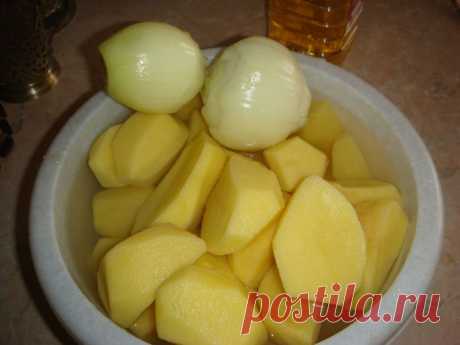 МОИ ДРАНИКИ.