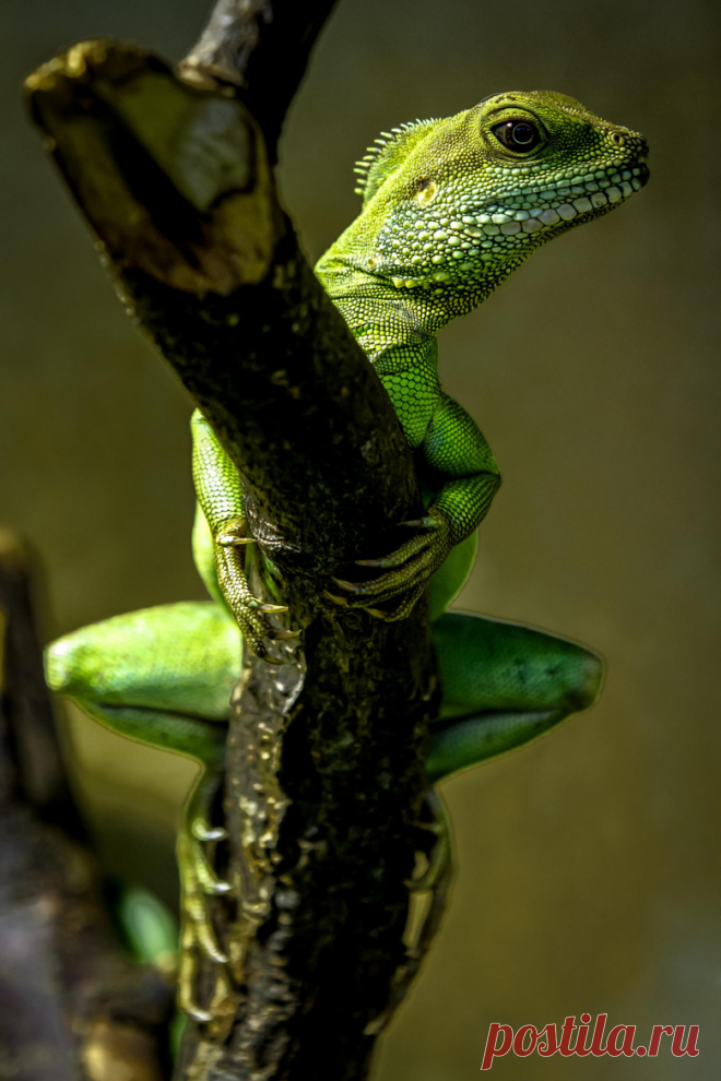 Artistic-realistic nature - 💙 Posing on 500px by Thorsten Scheel, Hof, Germany...