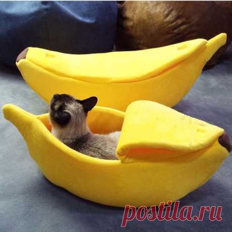​Кровати для питомцев: идеи и моделирование — DIYIdeas