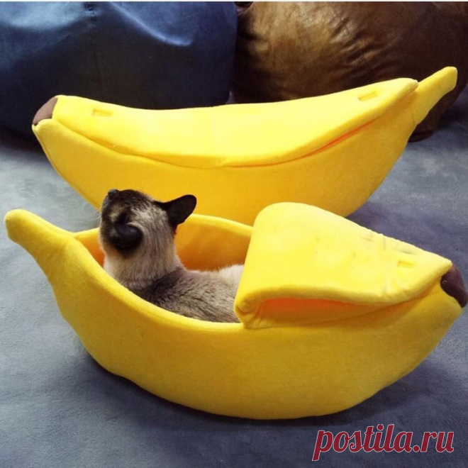 ​Кровати для питомцев: идеи и моделирование — DIYIdeas