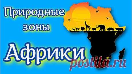 Природные зоны Африки География 7 класс Природные зоны Африкисубтропические вечнозеленые жестколистные леса и кустарники;тропические пустыни и полупустыни;саванны;переменно-влажные леса;влажные веч...