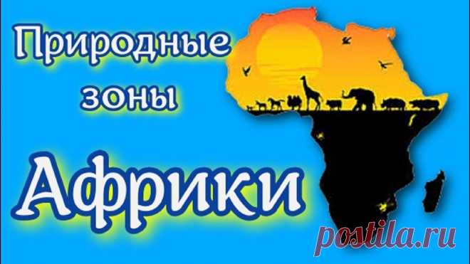 Природные зоны Африки География 7 класс Природные зоны Африкисубтропические вечнозеленые жестколистные леса и кустарники;тропические пустыни и полупустыни;саванны;переменно-влажные леса;влажные веч...