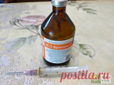 Благодаря АСД мы отказались от ветеринаров. Примеры с результатами | Жизнь в саду | Яндекс Дзен