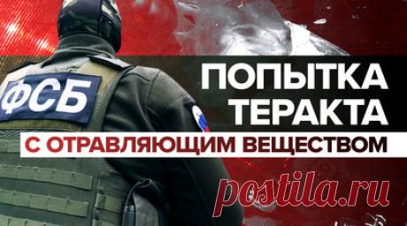 ФСБ предотвратила теракт украинских спецслужб в Запорожской области — видео. Сотрудники ФСБ задержали трёх граждан Украины, готовивших теракт в Запорожской области с использованием аналога боевого отравляющего вещества BZ. В ведомстве сообщили, что изъятые препараты применяются для создания химического оружия и разрабатывались в США. Возбуждено уголовное дело по статьям о приобретении и сбыте оружия массового поражения и о теракте. Читать далее