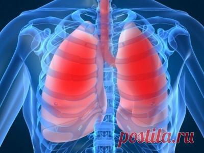 Как быстро вывести мокроту из легких?