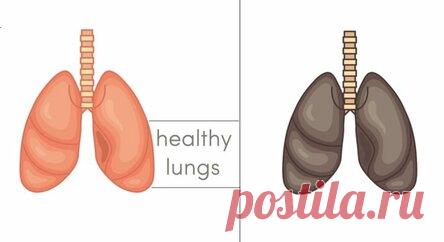 5 продуктов, которые детоксицируют и исцеляют ваши легкие естественным способом