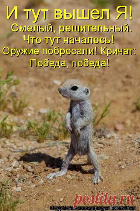 смельчак