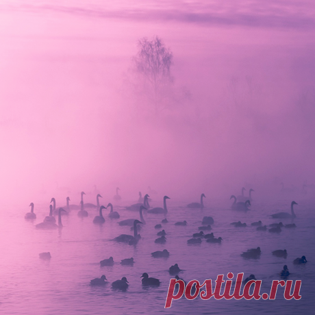 Фототерапия