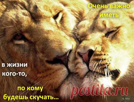 Афоторизмы dj_talay'a