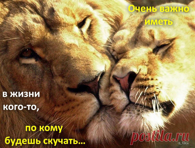 Афоторизмы dj_talay'a