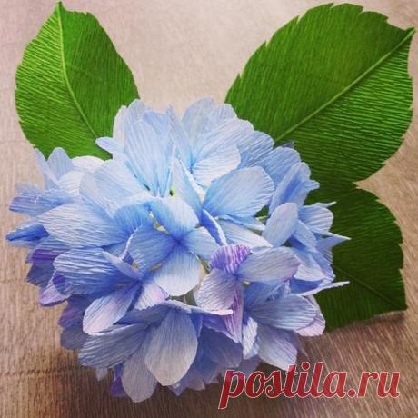 (38) Pinterest • Всемирный каталог идей