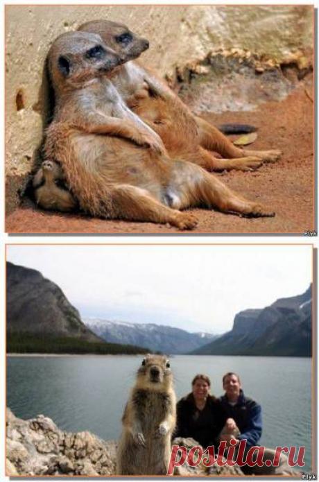 Удивительная фотография | Интересное в мире | Плюк - Блог о паранормальном и мистическом - Ку!