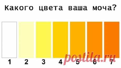 Читать далее...