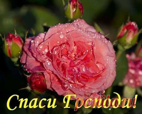 Чудо. Сегодня. Свидетельствует священник. - &quot;Покрова Богородицы&quot; - Группы Мой Мир