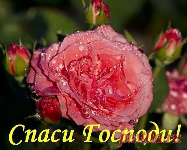 Чудо. Сегодня. Свидетельствует священник. - "Покрова Богородицы" - Группы Мой Мир