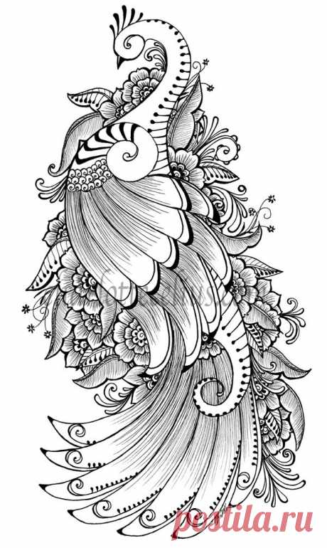 жар птица рисунки: 56 тис. зображень знайдено в Яндекс.Зображеннях