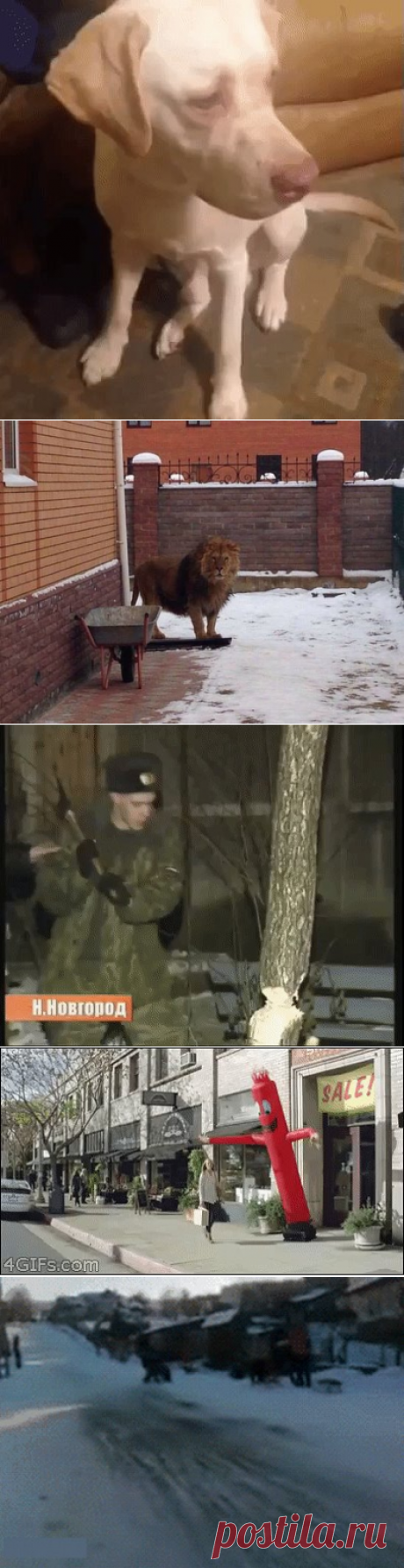 Одноклассники