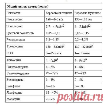 Новости
